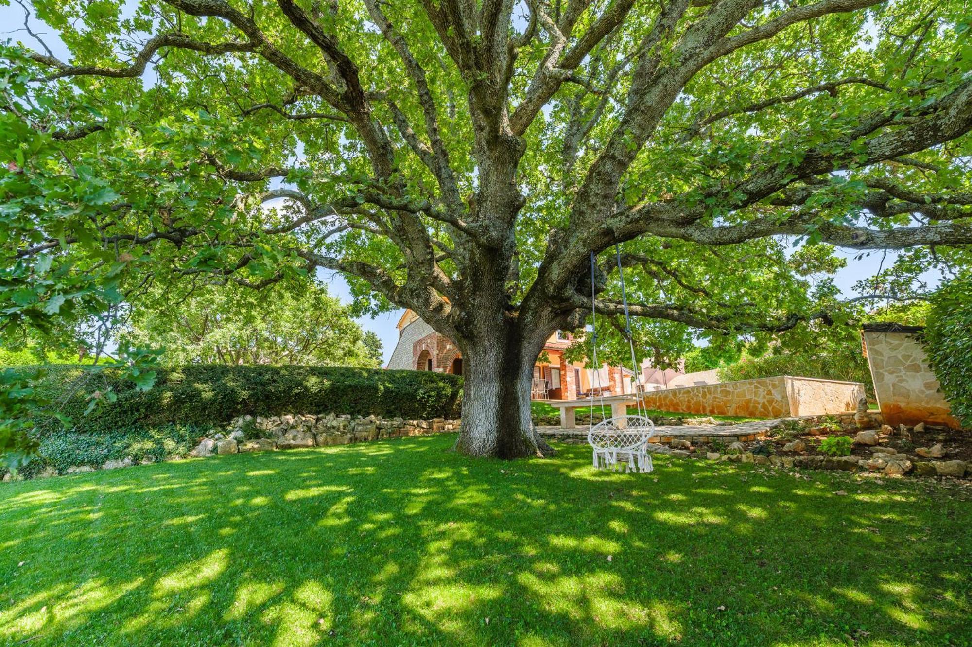 Villa Hrast Bacva Višnjan Екстериор снимка