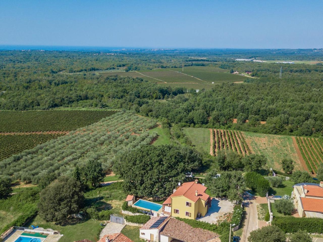 Villa Hrast Bacva Višnjan Екстериор снимка